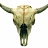 Picture of RealPlayer Picture of RealPlayer